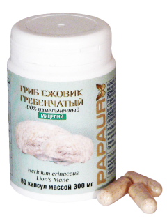 PAPAUR. Гриб Ежовик Гребенчатый