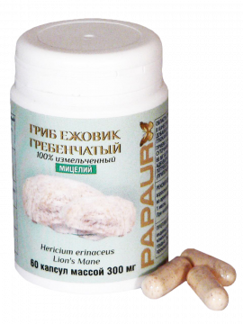 PAPAUR. Гриб Ежовик Гребенчатый