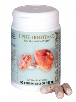 PAPAUR. Гриб Шиитаке