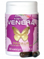 Papaur-venera