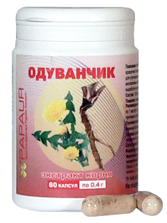 Одуванчик. Экстракт корня