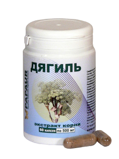 Дягиль. Экстракт корня