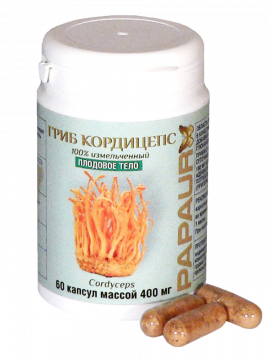 PAPAUR. Гриб Кордицепс