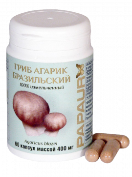 PAPAUR. Гриб Агарик Бразильский