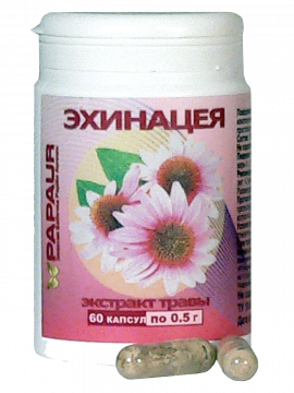 Эхинацея. Экстракт травы